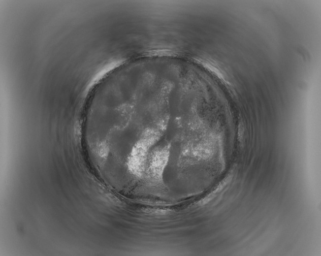 X0000112971309200909171310