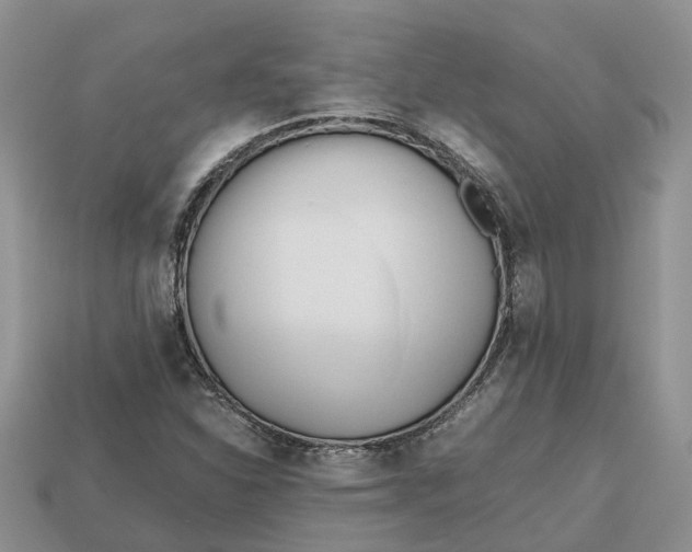 X0000112971310200909171310