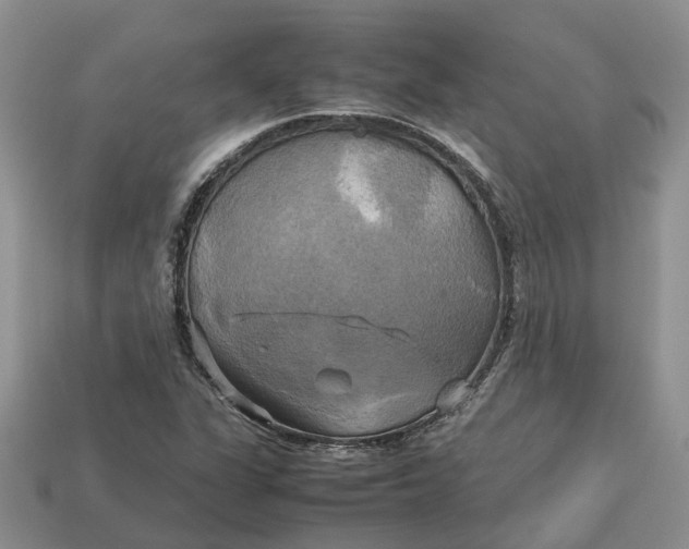 X0000112971311200909171310