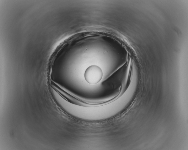 X0000112971312200909171310