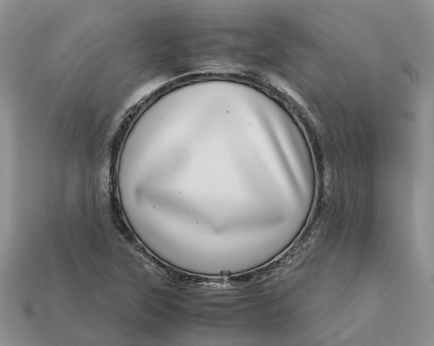 X0000112971315200909171310