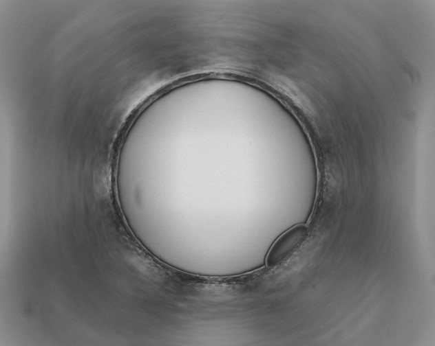 X0000112971316200909171310