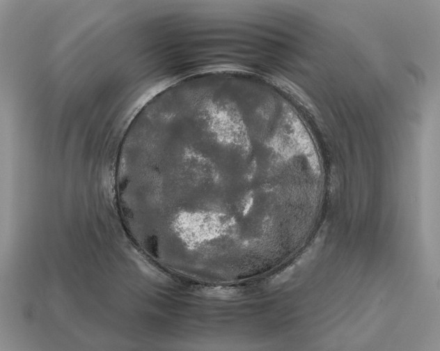 X0000112971321200909171310