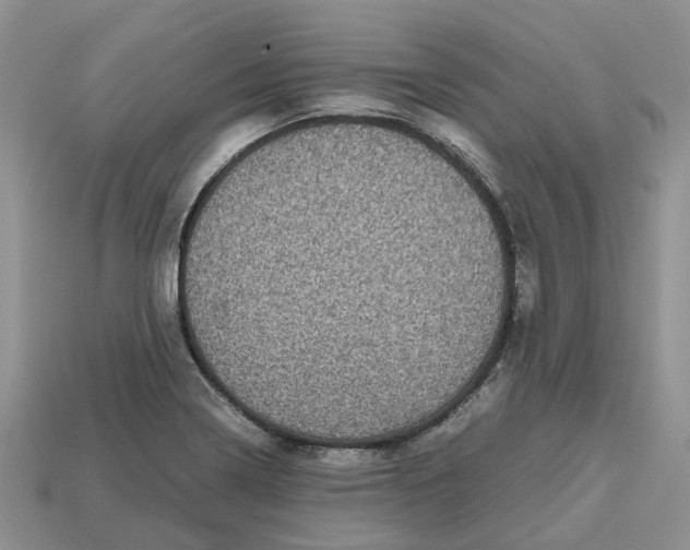 X0000112971322200909171310