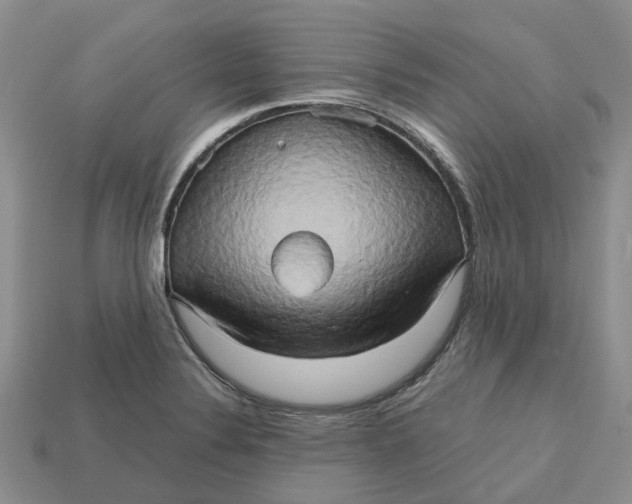 X0000112971324200909171310