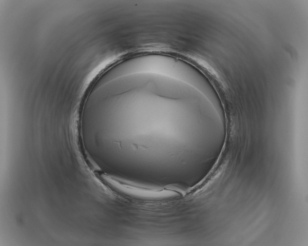 X0000112971325200909171310