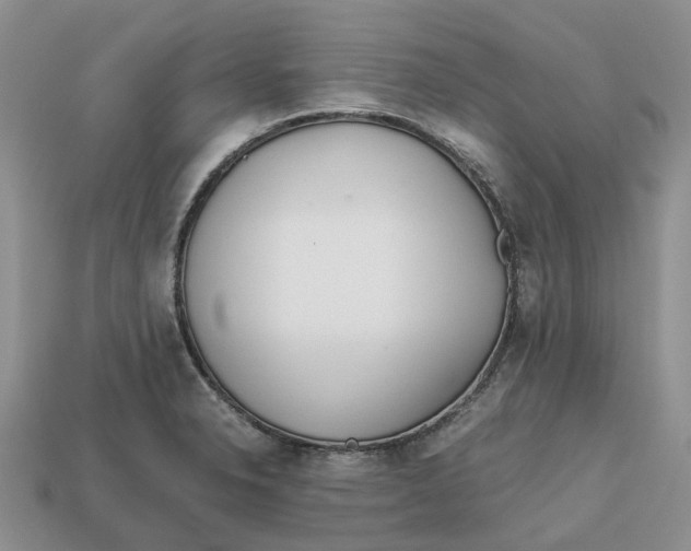 X0000112971326200909171310