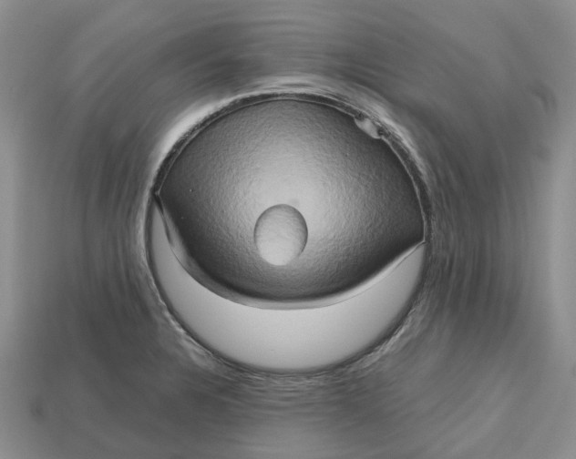 X0000112971328200909171310