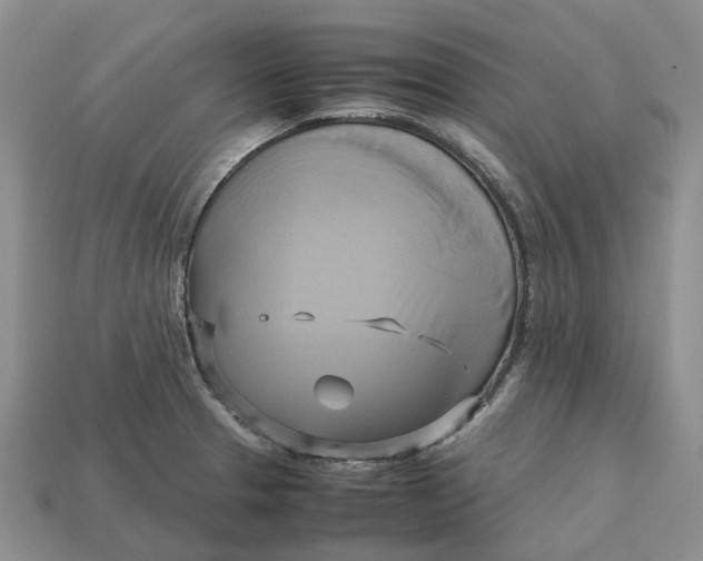 X0000112971329200909171310