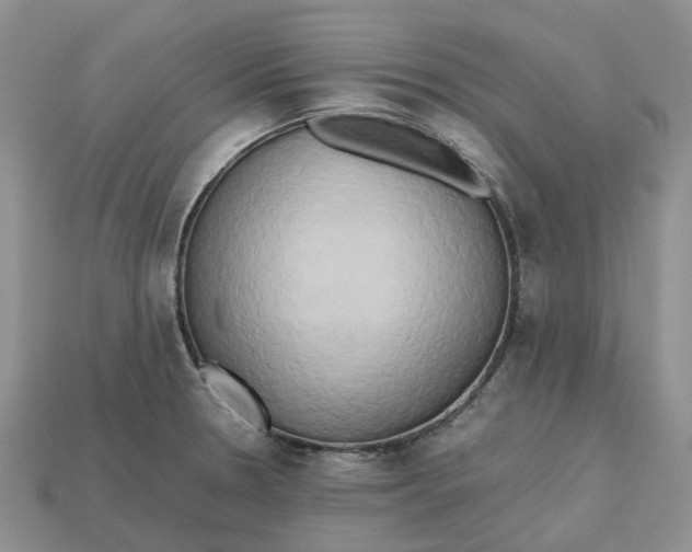 X0000112971330200909171310