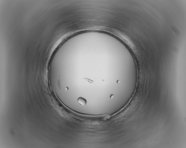 X0000112971332200909171310