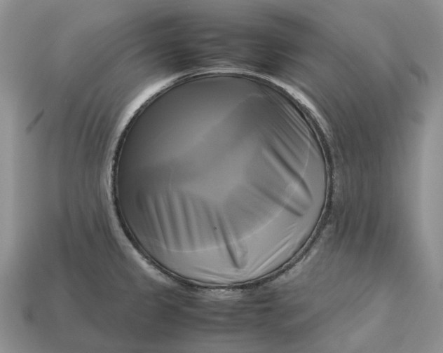 X0000112971333200909171310