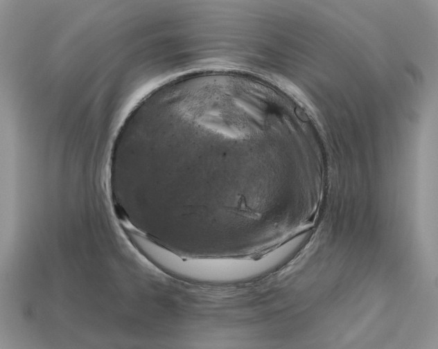 X0000112971334200909171310