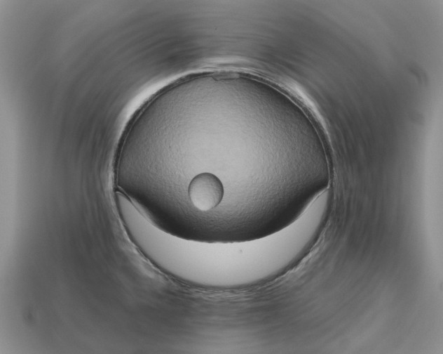 X0000112971336200909171310