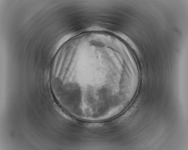 X0000112971337200909171310