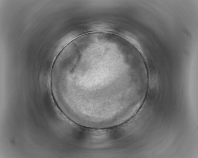 X0000112971338200909171310