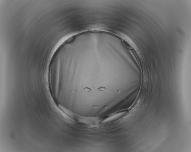 X0000112971339200909171310