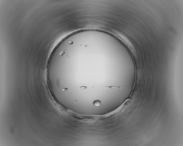 X0000112971340200909171310