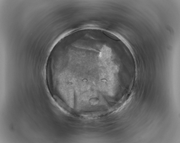 X0000112971341200909171310