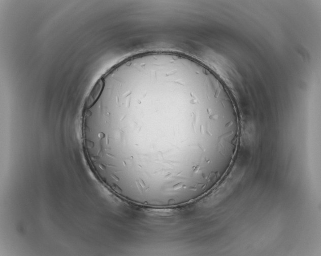 X0000112971342200909171310