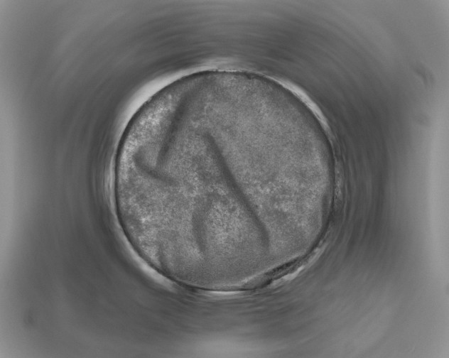 X0000112971343200909171310