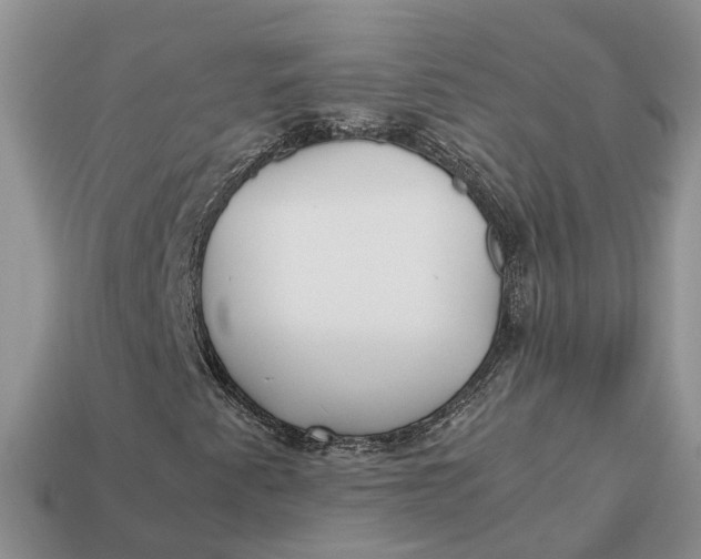 X0000112971345200909171310