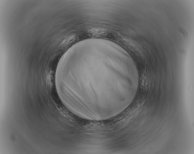 X0000112971346200909171310