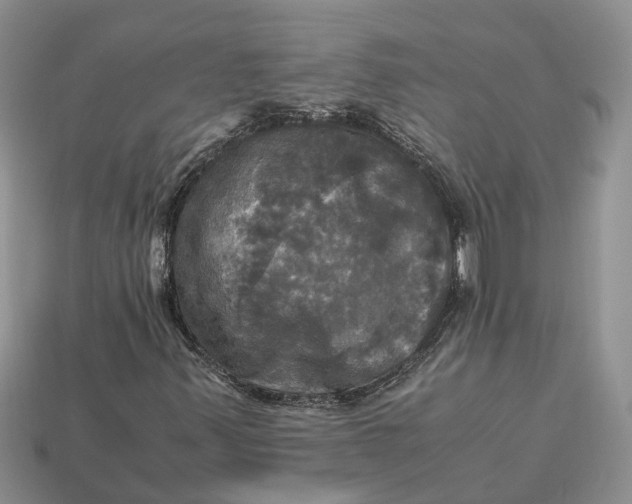 X0000112971347200909171309