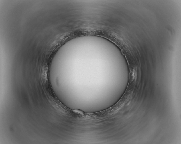 X0000112971348200909171309