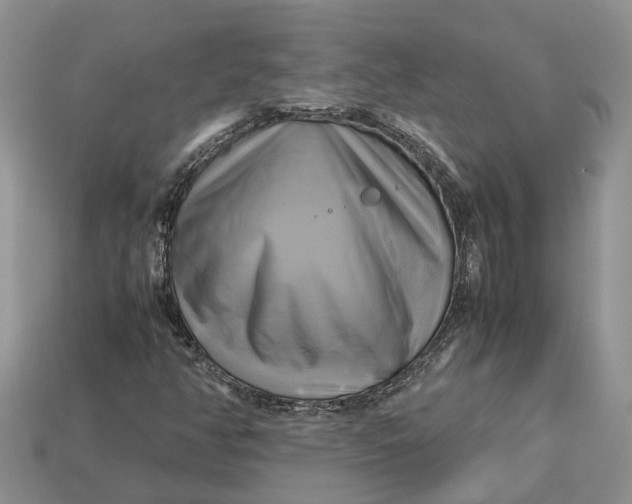 X0000112971350200909171309