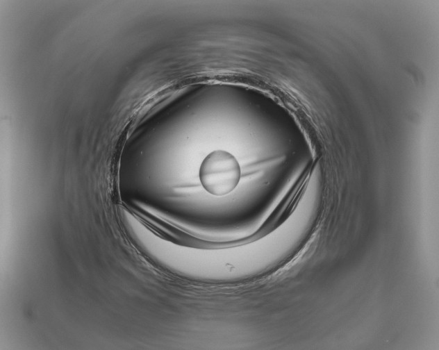 X0000112971353200909171309