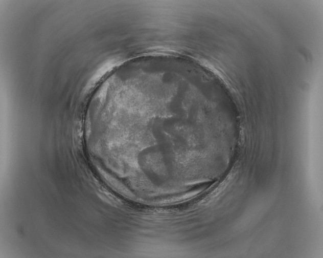 X0000112971355200909171309