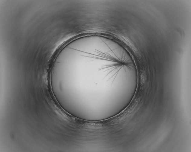 X0000112971356200909171309