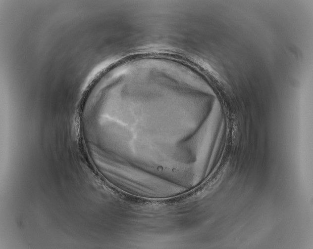 X0000112971358200909171309