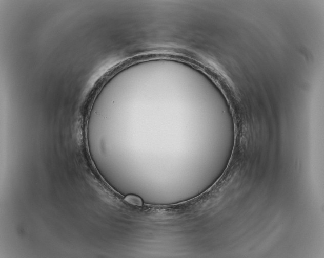 X0000112971360200909171309