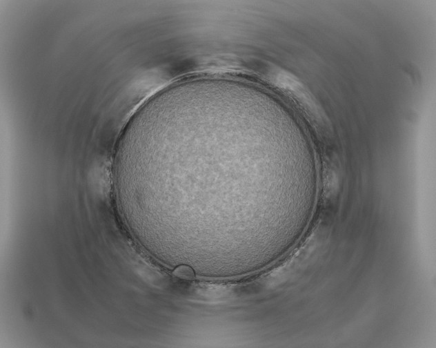 X0000112971361200909171309