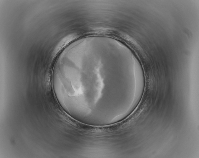 X0000112971362200909171309