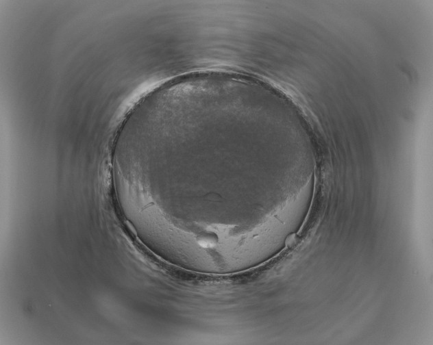 X0000112971363200909171309