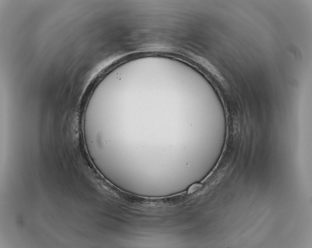 X0000112971364200909171309