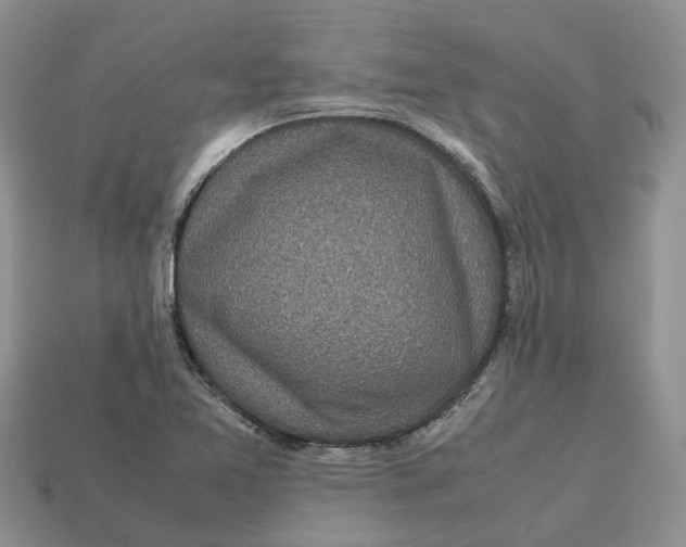 X0000112971365200909171309