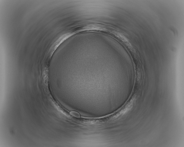 X0000112971369200909171309