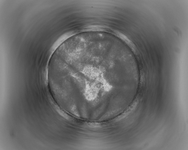 X0000112971370200909171309