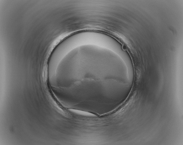 X0000112971371200909171309