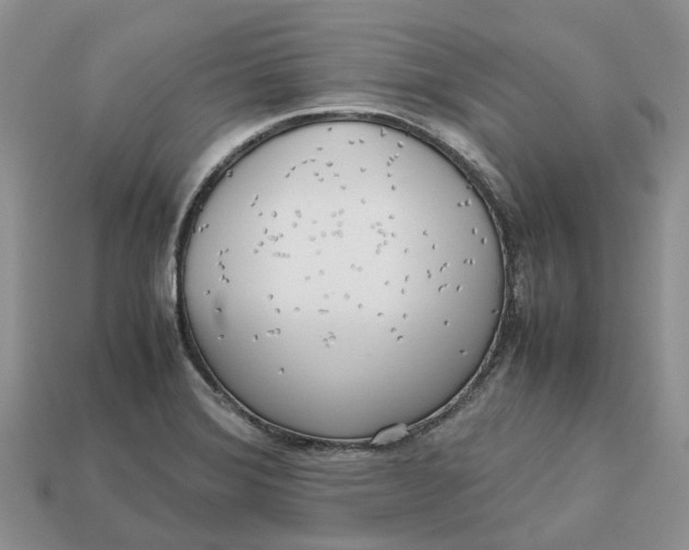 X0000112971372200909171309