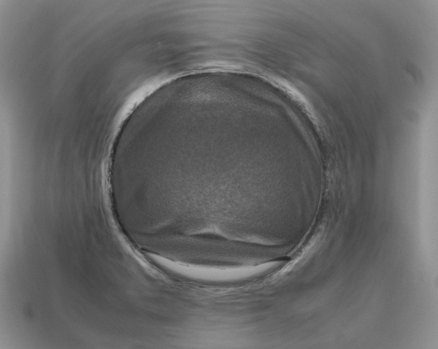 X0000112971373200909171309