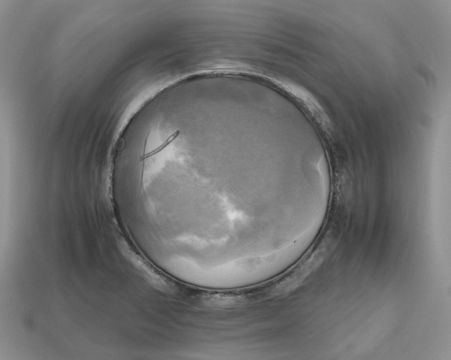 X0000112971374200909171309