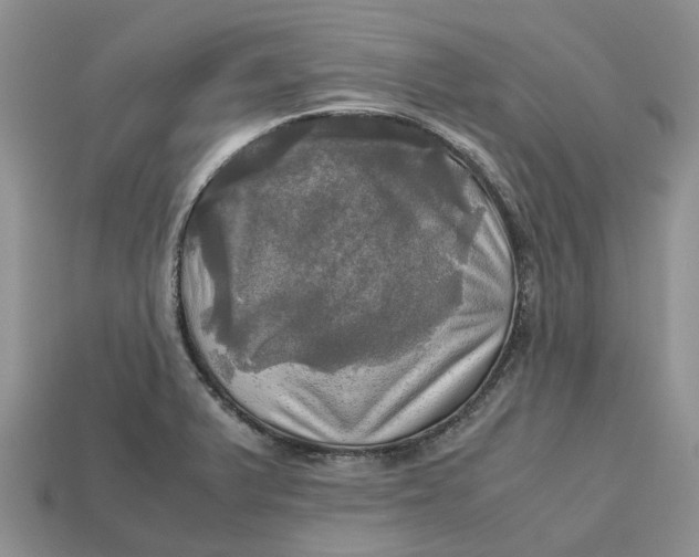 X0000112971375200909171309