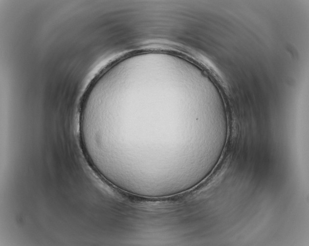 X0000112971376200909171309