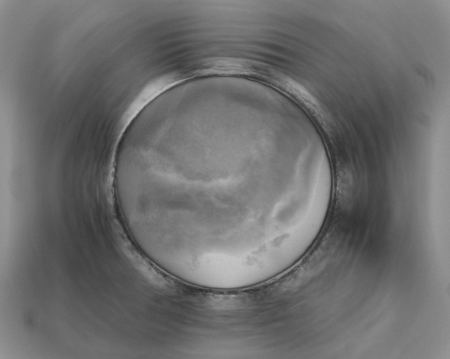 X0000112971378200909171309