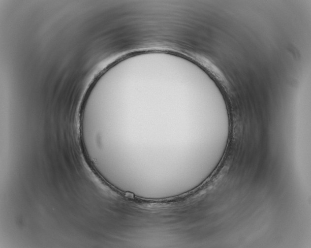 X0000112971380200909171309